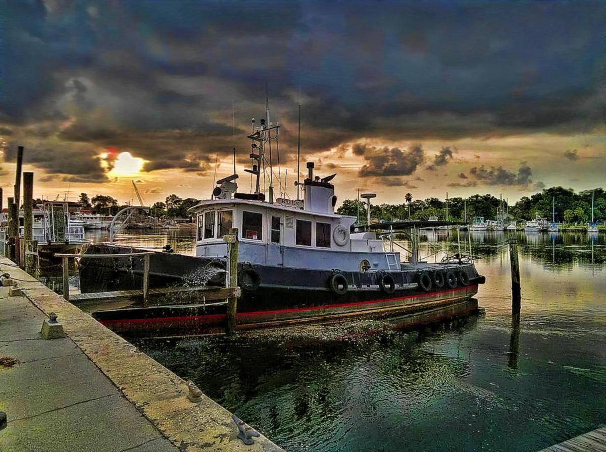 Hibiscus Hideaway Villa Tarpon Springs Exterior foto