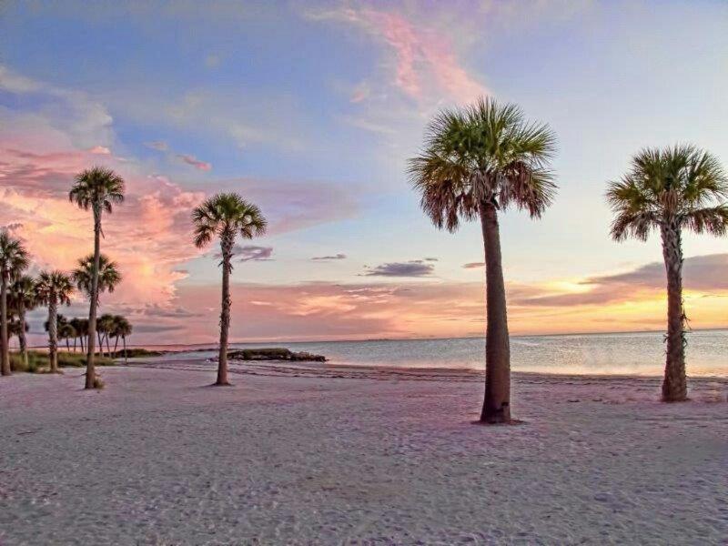 Hibiscus Hideaway Villa Tarpon Springs Exterior foto